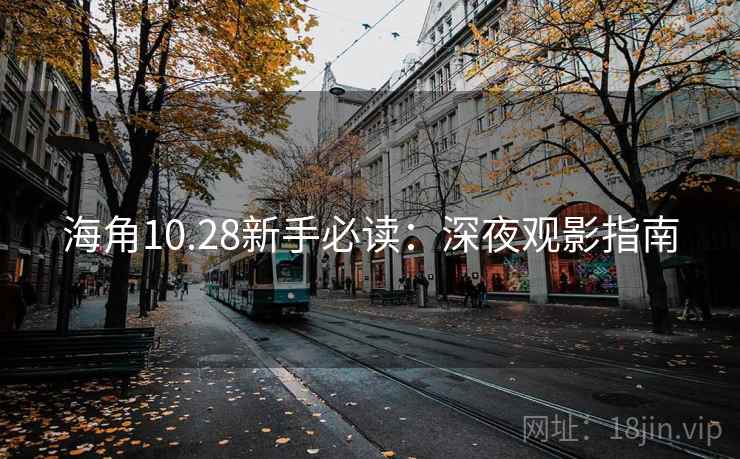 海角10.28新手必读:深夜观影指南