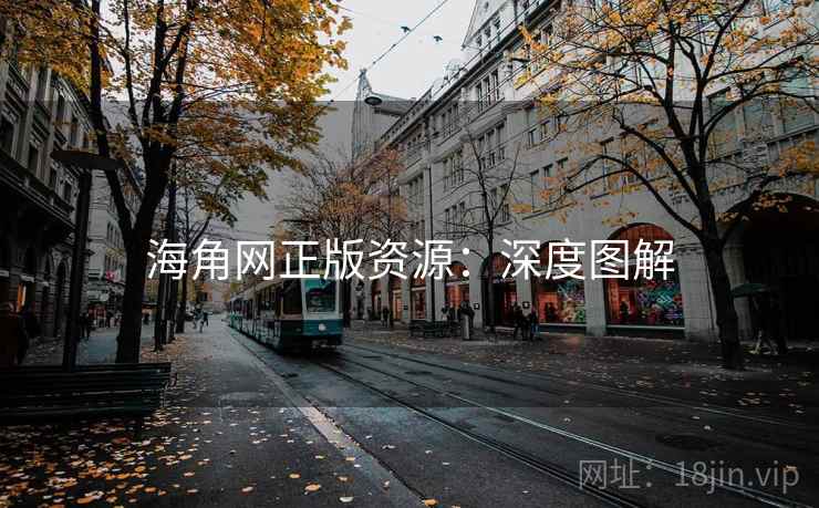 海角网正版资源:深度图解